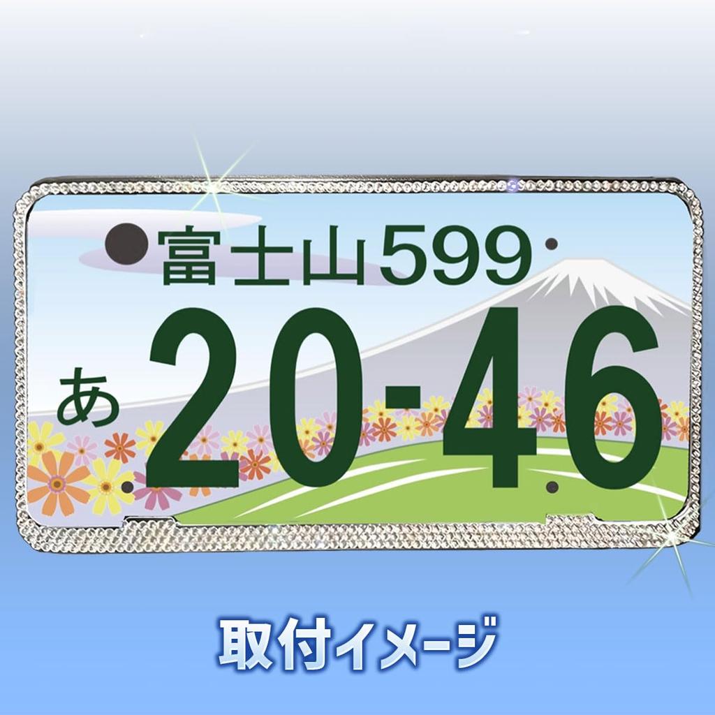 SALUDABLE License Plate Frame with Sparkling Rhinestones, Set of 2