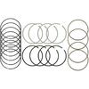 STD Engine Piston Rings Set Fits for 2007-2013 Toyota Camry RAV4 Scion tC Lexus 2.4L 2AZFE, Premium Steel Engine Sealing Kit Replace 13011-0H031,