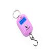 Portable Design Digital Hanging Scale 5g Precision LCD Backlight Scale  Luggage Travel