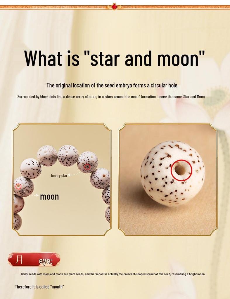 Star Moon Bodhi Good Luck Bracelet - Unisex Gift & Plaything