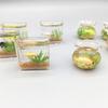 Mini Square/Round Fish Tank Realistic Glass Decor for Dollhouse Display Captivating Miniature for DIY Crafts Ornaments