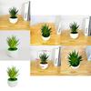 Gladiolus Fake Succulent Plant Pot With Pvc Material For Home Decor And Office Display