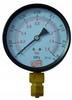 Radial Pressure Gauge 100Mm 0-1.6 Bar M20X1.5