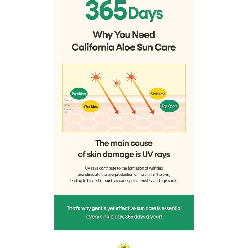 NATURE REPUBLIC - California Aloe Sun Stick - 2 Types