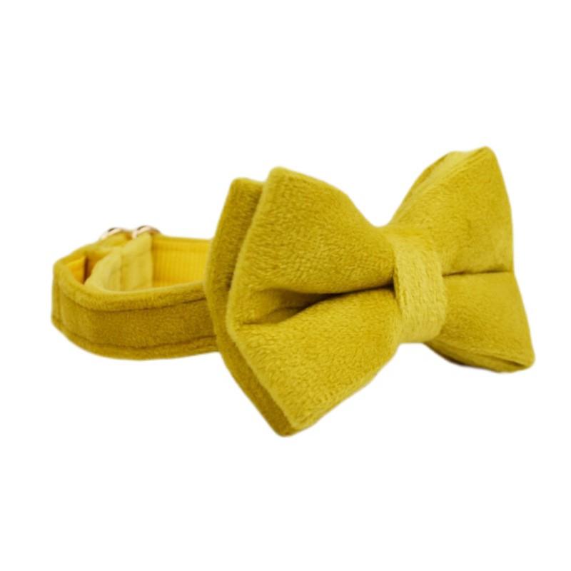 Yellow Velvet Cat Collar With Cute Bell Bow Small Dogs Pet Supplies