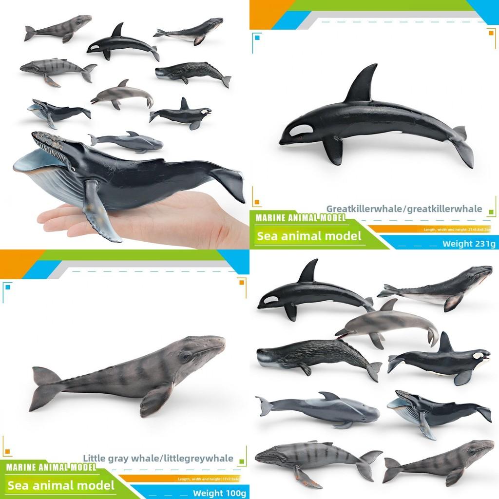Kinder Meeresbewohner PVC Modellset mit realistischen Wal- und Delfinfiguren für pädagogisches Spiel