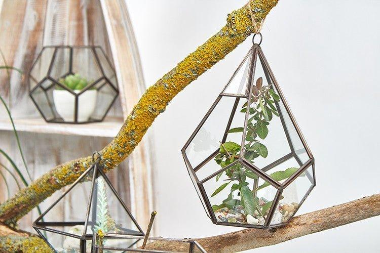 Glass Terrarium, Large Pentagon