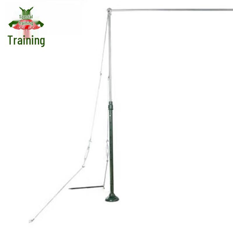 Professional Freestanding Pull-Up Bar