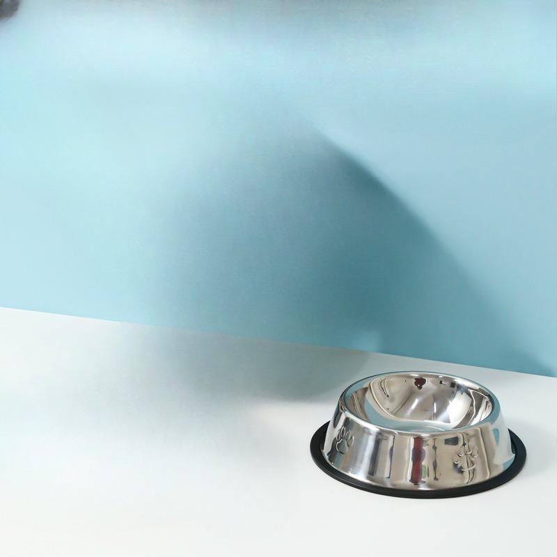Stainless Steel Dog Bowl - Anti-slip and Anti-toppling - Large-sized Dog Feeding Bowl for Large Dogs - Pet Feeding Set