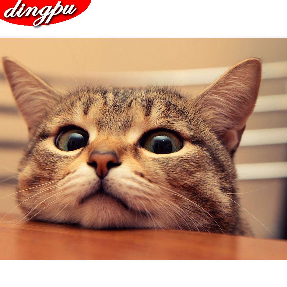 DIY Diamond Painting 5D Animal Full Round Diamond Mosaic Cat Embroidery Home Decoration Sale