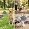 Spring Powered Trigger Pet Food Feeder Light Weight Build Pet Training Feeder  Daily Reward Feeding