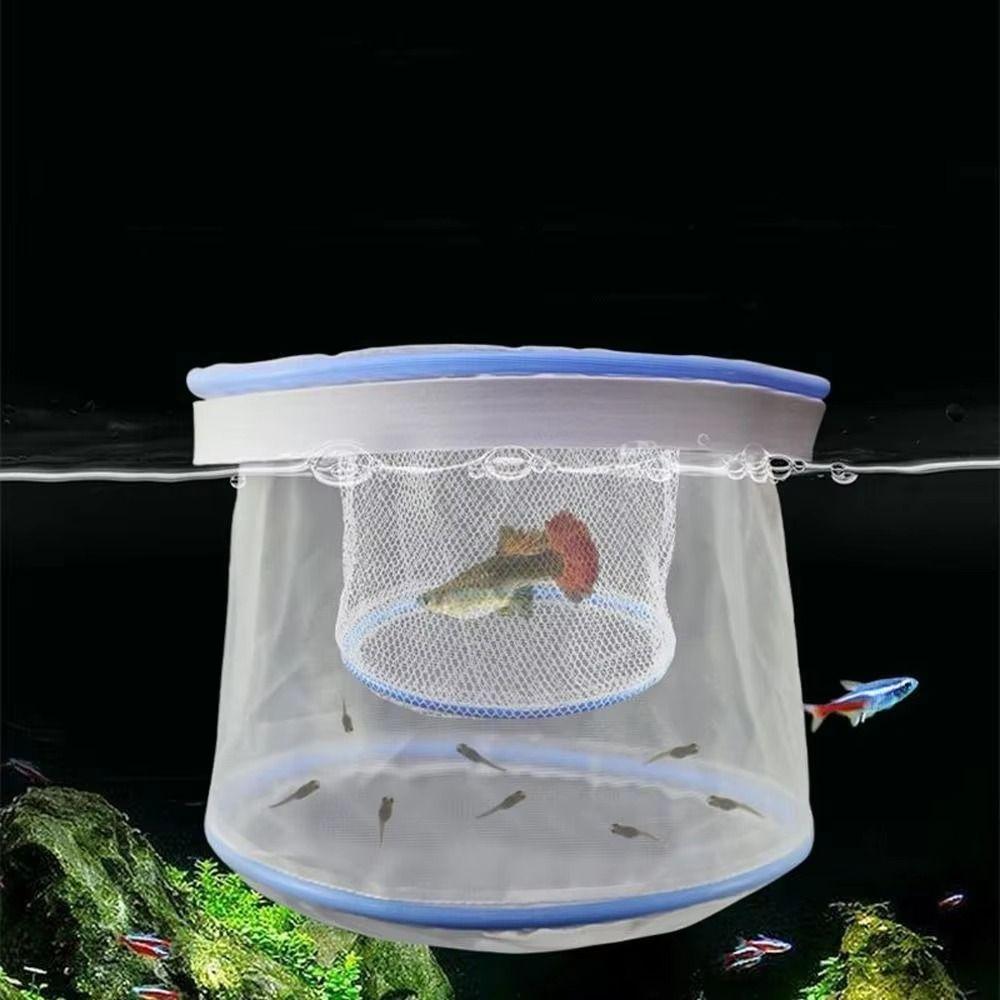 Breathable Aquarium Fish Isolation Box Multiple sizes Small Fry Breeding Box  Fish Care Equipment
