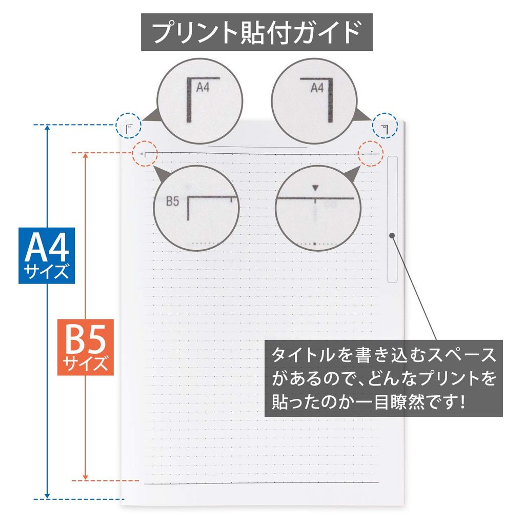 Kyokuto Associates College Notebook, 7mm Ruled, A4 Wide, Blue, 10-Pack, CLW2