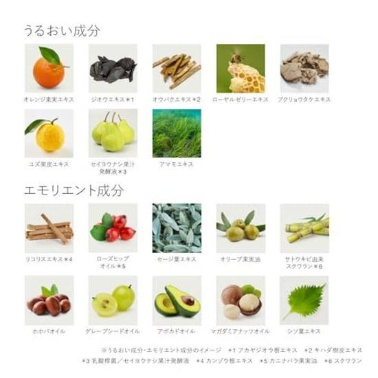 RMK W Treatment Oil-in-Cream (Moisturizing Cream Face Oil Night Skincare)
