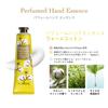 The Saem Japan Official Perfume Hand Essence Warm Cotton 0731 Moisturizing Hand Cream