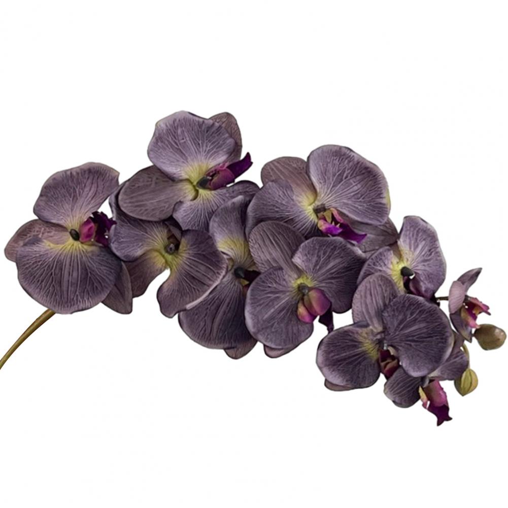 Dining Table Fake Flower Centerpiece Artificial Phalaenopsis Flowers Artificial Phalaenopsis Orchid Stem 3d Printing Realistic