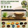Tree Stump Shape Reptile Feeding Bowl Multicolor Reptile Bathtub  for Tortoises