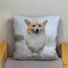 Cute Welsh Corgi Pembroke Dog Cushion Cover Pillow Case Home Decor Animal   Sofa Car