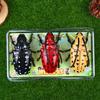 3Pcs Set Wind Up Insect Toys Fun Clockwork Prank Fidget Gadgets Easy Operation for Toddlers Preschoolers Casual Play