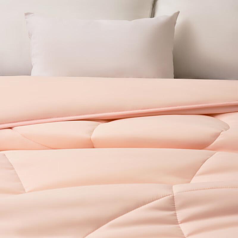 Mercury Home Textiles Soft Antibacterial Anti-mite Winter Comforter