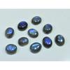10X12MM Natural Labradorite Blue Fire Oval Cabochon Loose Gemstone 10Pcs Lot C-1089