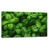 GLASS CUTTING BOARD 52x30 BASIL