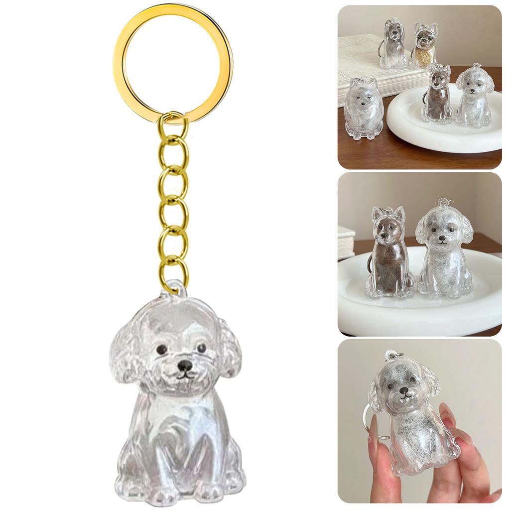 Transparent Pet Memorial Keychain Pet Hair Bottle For Preserving Dog Hair And Ashes In A Leakproof Keepsake Capsule