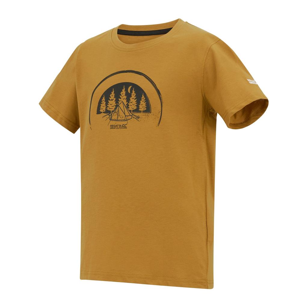 Regatta Childrens/Kids Bosley Camping T-Shirt