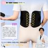 SHINIQLORA Back Pain Lower Back Support Gardner Breathable Mesh for Daily and Sports Belt Sizes Belt, Corset, Belt, Belt, Material, All-Season, Life,