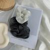 Mno Hair Band See-Through Scrunchie Gopchang Hair Band Women's Hair Accessory Hair Band Recommendation Hh25