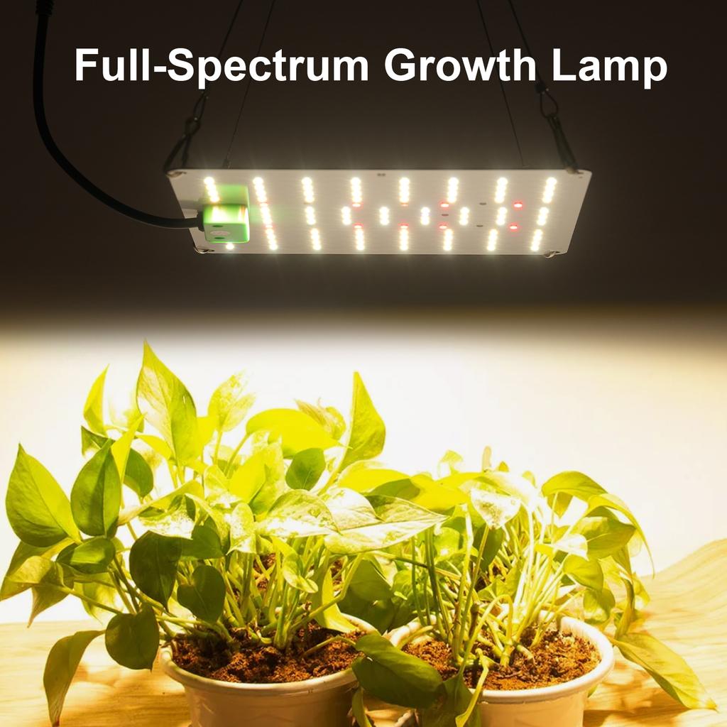 Full Spectrum Growth Light LED Indoor Plant Supplement Light 3000K 5000K IR UV Grow Light for Green