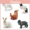 Adorable Plastic Rabbit Model Collection Featuring Wash Face Sitting Dwarf And Lop Ear Styles