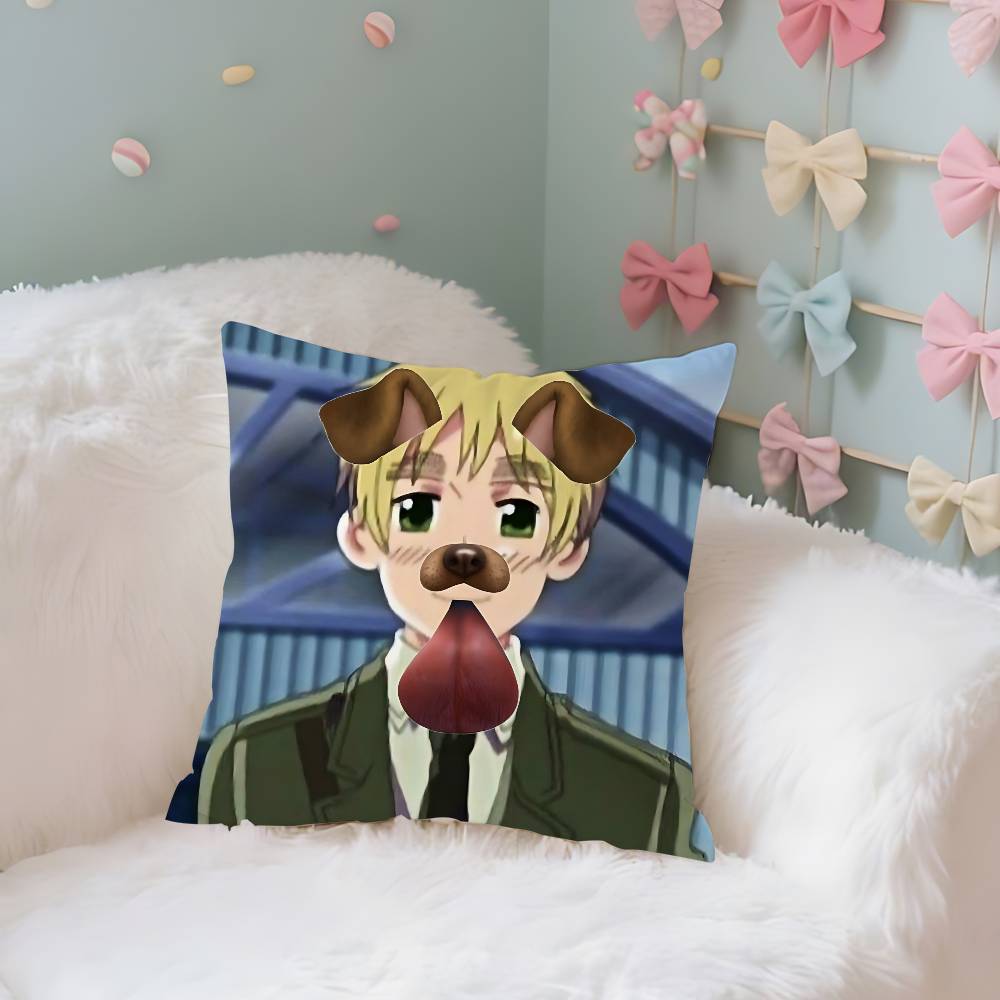 CuteHhetalia World StarsS Funny Case Plush Fabric Soft Pillowcase Double Sided Print Cushion Cover Household Gifts