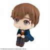 Rukappu Fantastic Beasts Newt Scamander Complete Figure