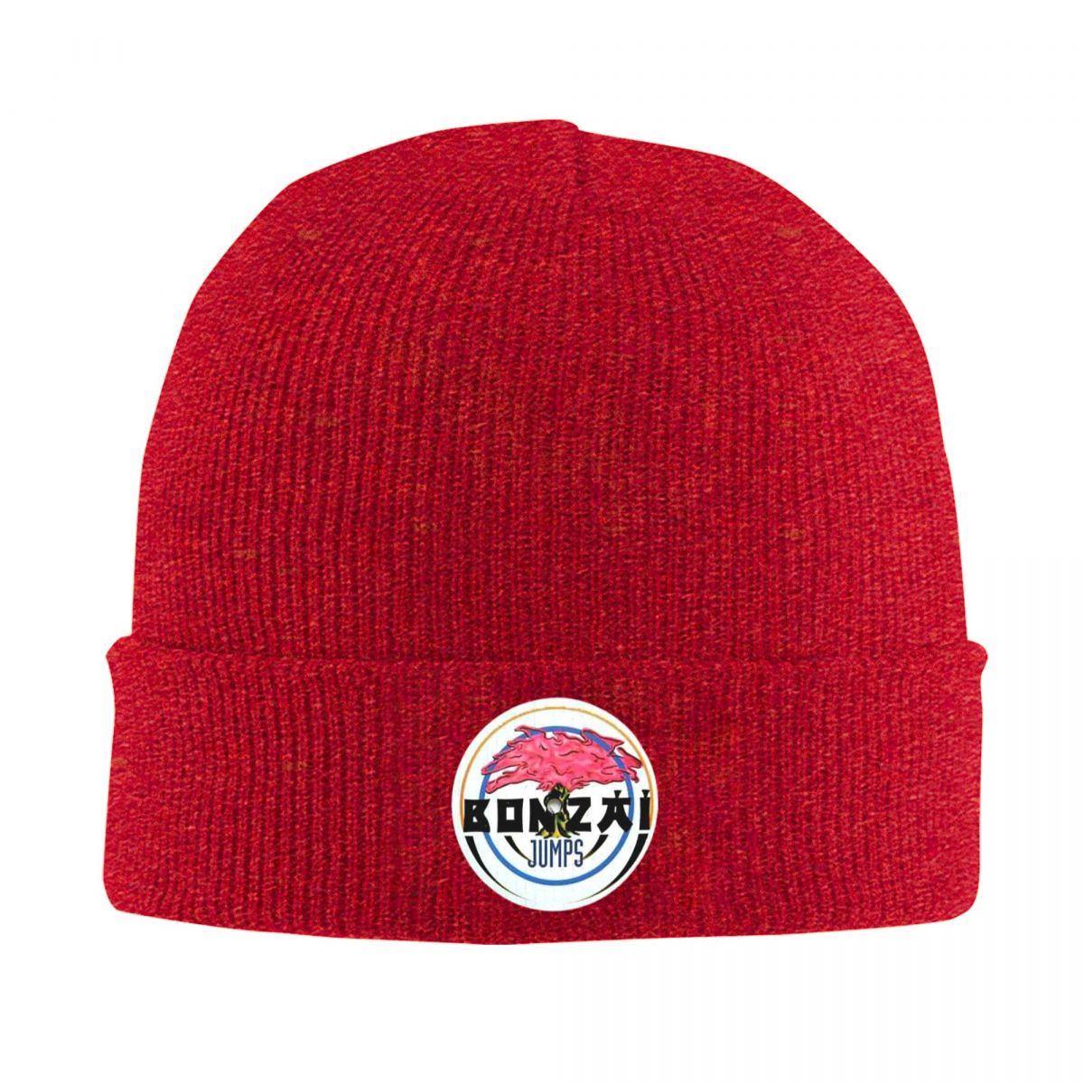 

Bonzai Records Warm Knitted Cap Fashion Bonnet Hat Autumn Winter Outdoor Beanies Hats for Men Women Adult One Size