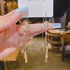 S925 Silver Zirconia Tassel Stud Earrings - 2024 Trendy Korean Temperament Style