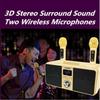 SD-309 3D Stereo Speaker Portable Household Karaoke System Wireless Bluetooth Dual Microphone