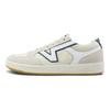 Vans Lowland CC Low Top Skate Shoes Unisex Sneakers Gray Blue VN0A4TZY06N