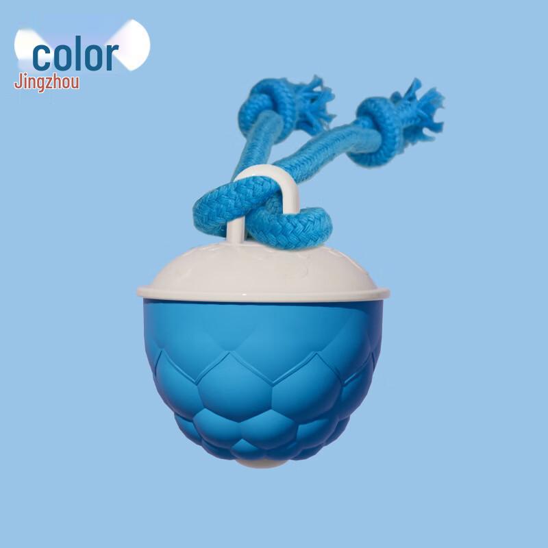 Smart Squeaky Interactive Dog Ball with Rope
