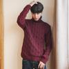 Herren Warmer Strick Rollkragenpullover Slim Große Größe Langarmpullover