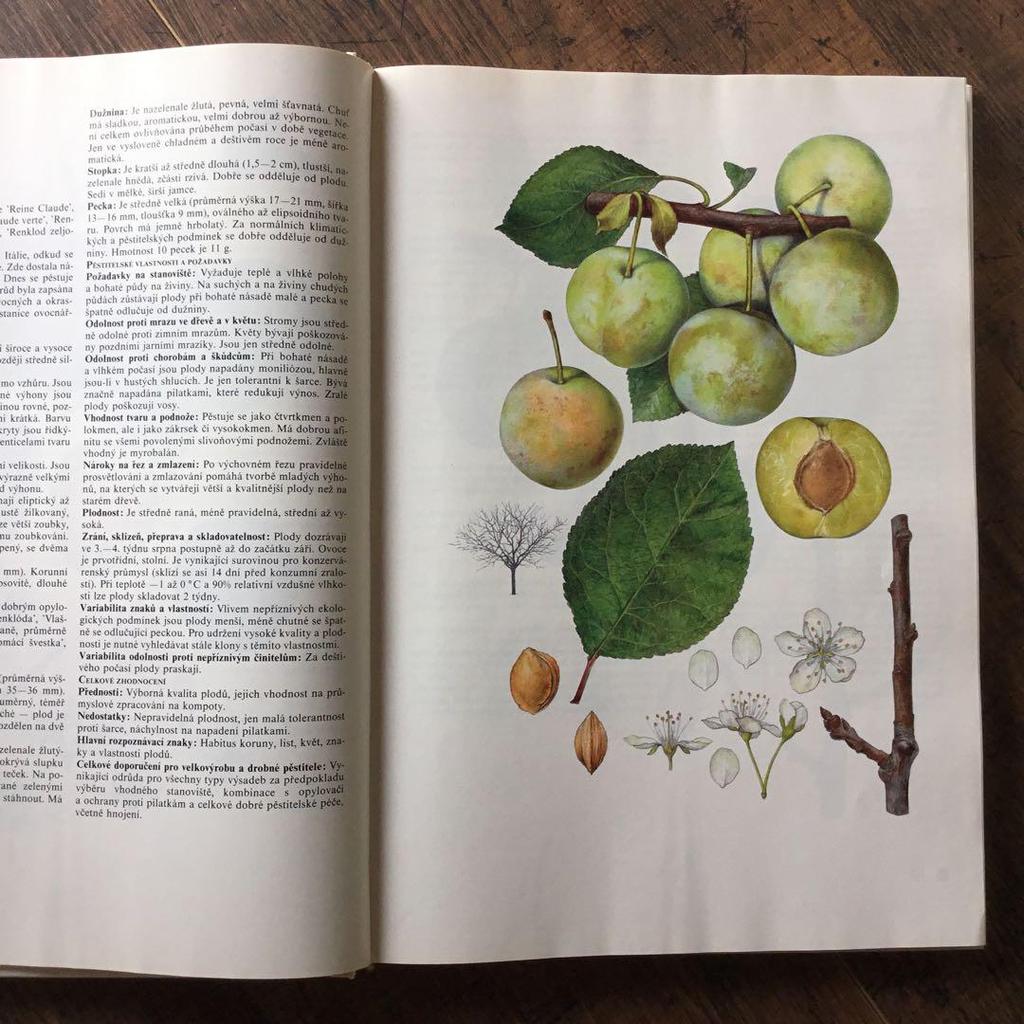 [USED] Foreign books, Czech botanical encyclopedias, vintage books, botanical art