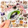 50PCS Cute Cat MEME Cartoon Animals Graffiti Stickers DIY Phone Guitar Laptop Notebook Suitcase Cup Waterproof Sticker Kids Toy