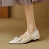 New Women's Casual Single Shoes Light Mouth Solid Color Pointed Soft Sole Large Size Brown Low Heel Buckle Four Seasons Wear Women's Single Shoes
