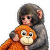 Schutz Punch The Monkey Aufkleber Auto Laptop Sticker Niedlicher Affe hält Plüschtier Vinyl Aufkleber Einfach anzubringen/zu entfernen Lustige Kinderzimmer Dekoration