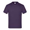 James and Nicholson Childrens/Kids Basic T-Shirt
