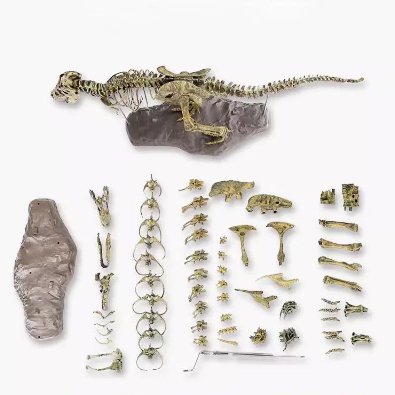 Dinosaur Fossil Toys T Rex Skeleton Model Kit for Kids INS Popular Realistic Educational Building Set Home Desk Decor Gift