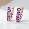 Shiny Purple Natural Zircon Drop Earrings For Women Trend  Rose Gold Color Bride Wedding Fine Jewelry Crystal Gift