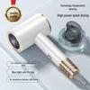High-Power Negative Ion Hair Dryer with Quick Dry & Blue Light Care for Home Use
