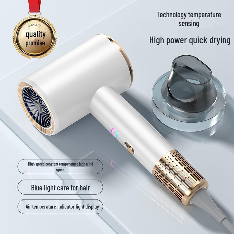 High-Power Negative Ion Hair Dryer with Quick Dry & Blue Light Care for Home Use