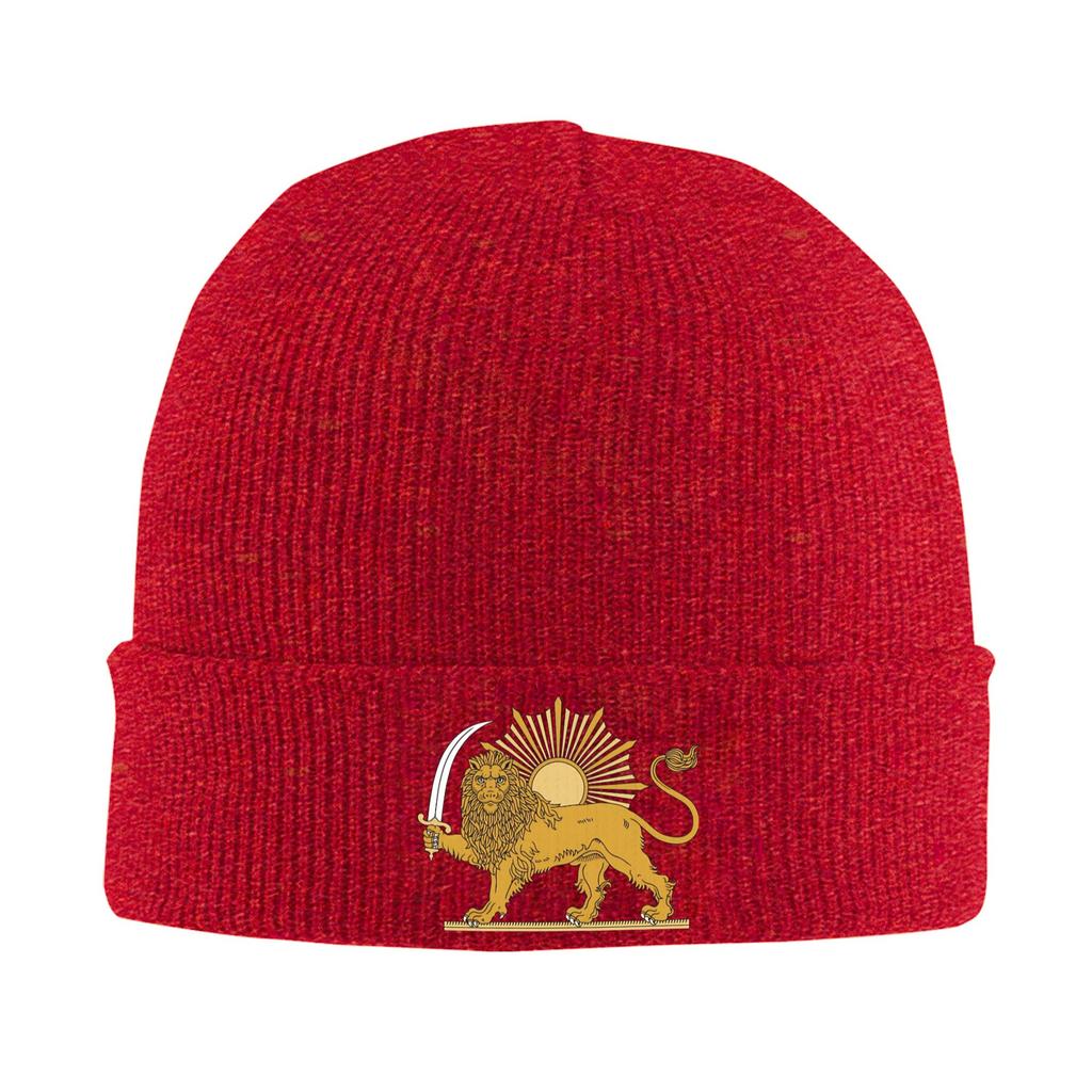 Lion And Sun Persian Emblem  Bonnet Hats Beanie Hats Autumn Winter Design Skullies Beanies Cute Unisex Women Unisex Hippie Warm Cap
